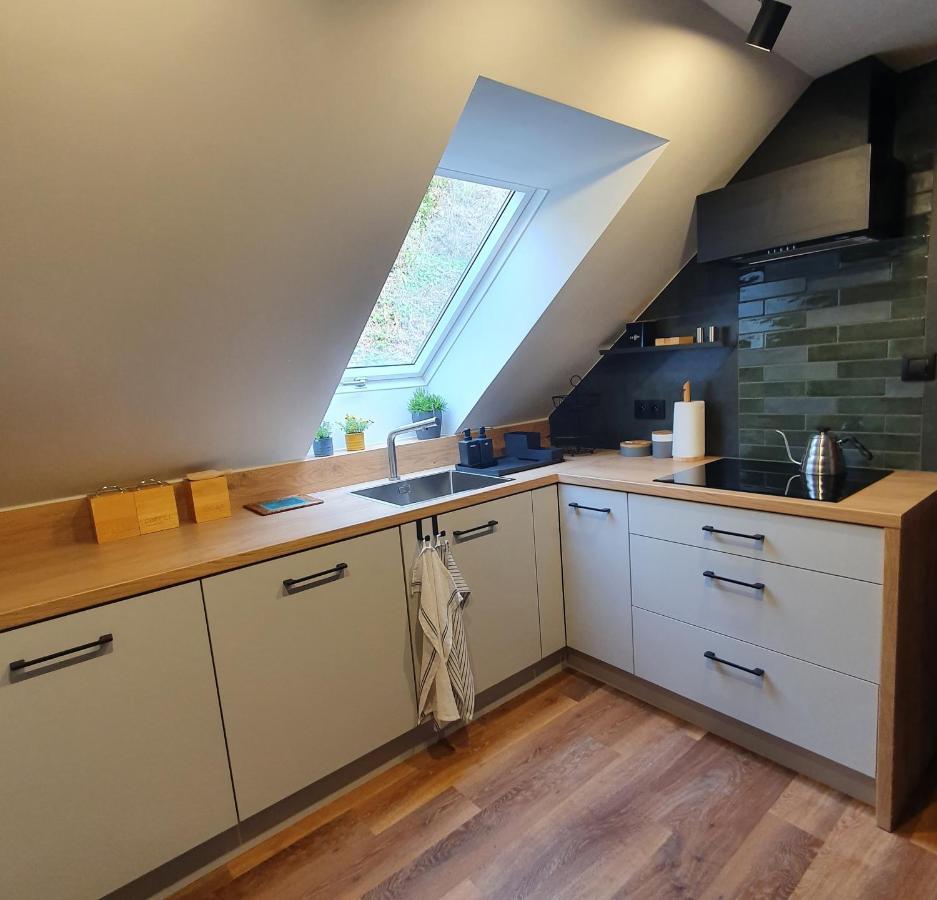 Apartamenty Magiczna Wenecja Цешин Екстер'єр фото