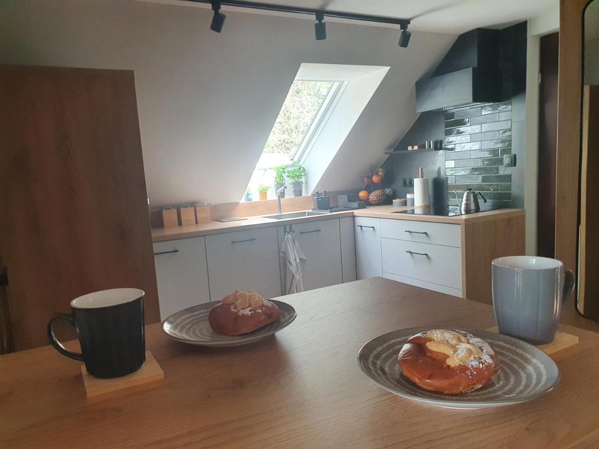 Apartamenty Magiczna Wenecja Цешин Екстер'єр фото